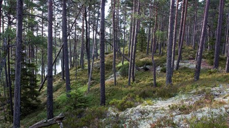 Miljömyndigheter hoppas på tillskott 2016