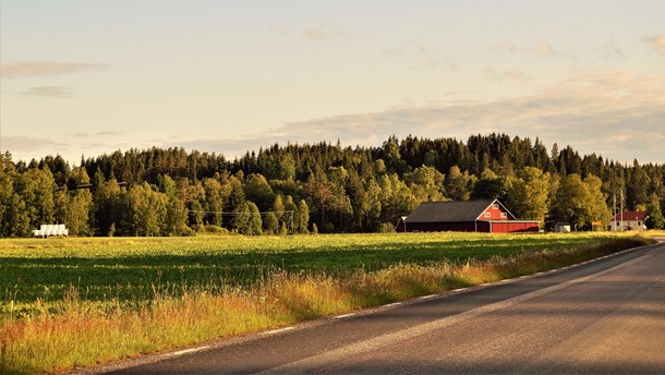 Vilka russin väljer Lööf åt landsbygden?