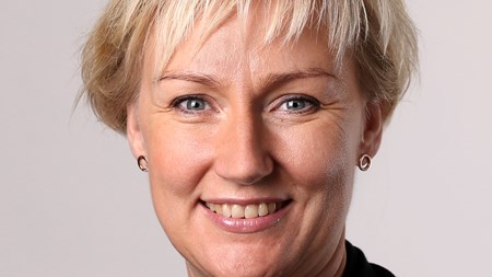 Helene Hellmark Knutsson, minister för högre utbildning och forskning, har beslutat att UKÄ ska sköta samma utredning som regeringen tidigare gjorde. 