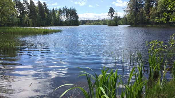 Hopp och oro inför Löfvens miljömålslöfte