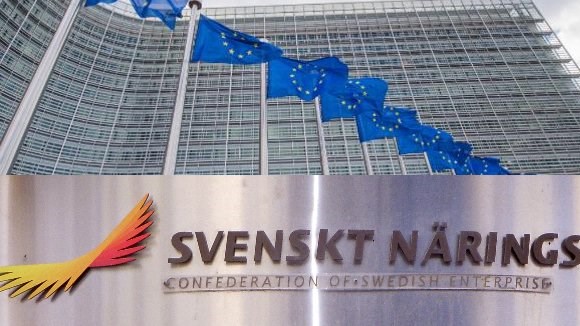 EU-länderna är överlag positiva till myndigheten. Men Svenskt näringsliv och Moderaterna är skeptiska.