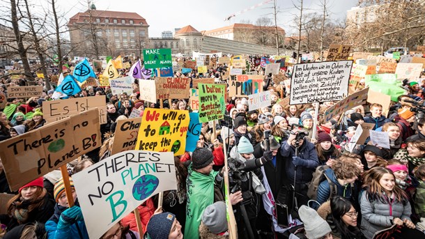 Miljöorganisationer märker av ökat klimatengagemang 