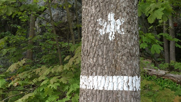 Formella skydd, som naturreservat, är inte den stora utmaningen i regeringsuppdraget.