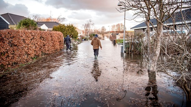 Länsförsäkringar: Kommunerna måste öka klimatanpassningen