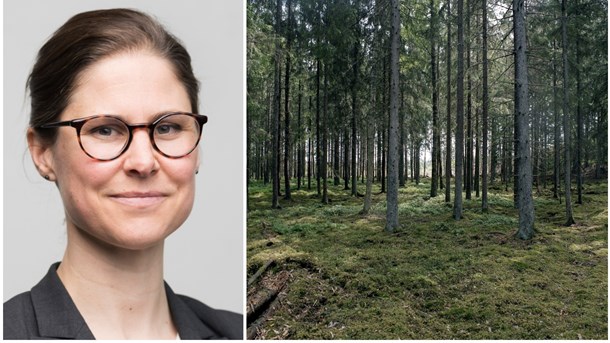 "Stora konsekvenser för Skogsstyrelsens legitimitet"