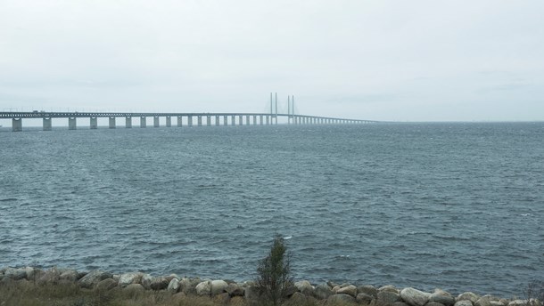 Eklund (L): Skapa en mer gemensam arbetsmarknad i Öresundsregionen