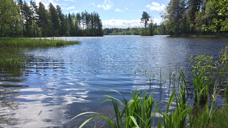 Beslut av länsstyrelsen om utvidgat strandskydd överklagas ofta till regeringen och är ärenden som skapar sysselsättning i regeringskansliet.