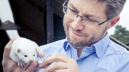 Johan Dalén, vd Svensk mink, Sveriges pälsdjursuppfödares intresseorganisation.