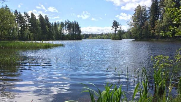 Meningarna går isär i frågan om en omstöpning av ramregelverket behövs för att nå god vattenkvalitet i EU. 