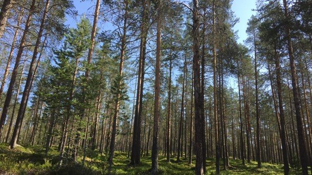 Birdlife: Ta varningssignalerna på allvar – sluta leta efter fel