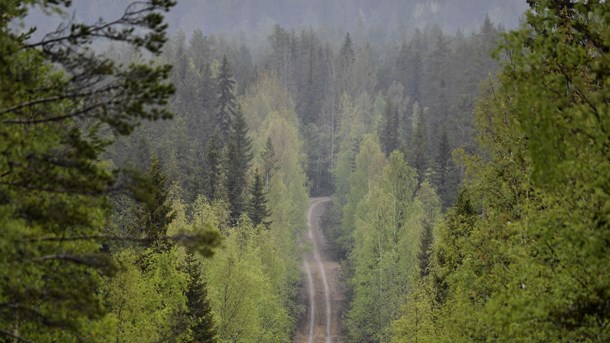 "Miljömålen för skydd av skog måste nås"