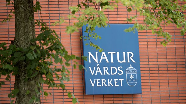 Naturvårdsverket varnar för neddragning nästa år