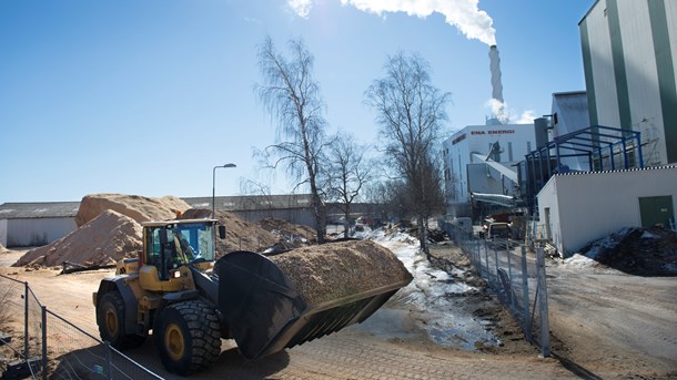 Taxonomifrustration hos bioenerginäringen