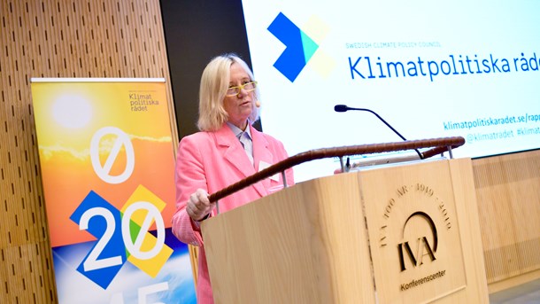 Klimatpolitiska rådets ordförande Ingrid Bonde menar att lagen inte efterlevs 