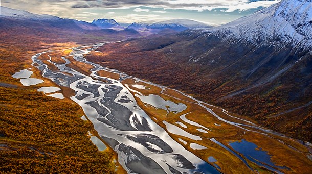 Han är årets naturfotograf