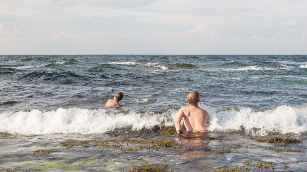 Många studenter riskerar att få oönskad ledighet i sommar, men lösningen är inte att börja dela ut CSN utan några krav på motprestation, menar debattören. 