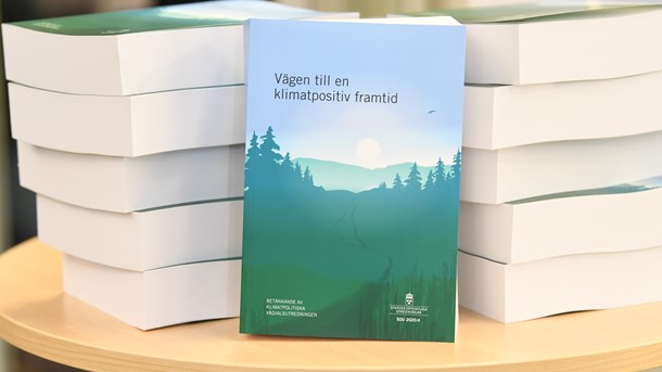 Vi uppmanar riksdag och regering att anta utredningens förslag och skapa förutsättningar för avsevärda kolsänkor genom bio-CSS långt innan 2045, skriver debattören.