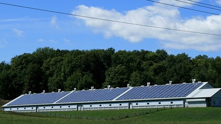 El från solceller kan slippa skatt. Men bara om anläggningen ligger i Sverige.