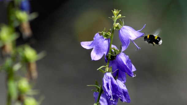 Glad sommar – på återseende i augusti!