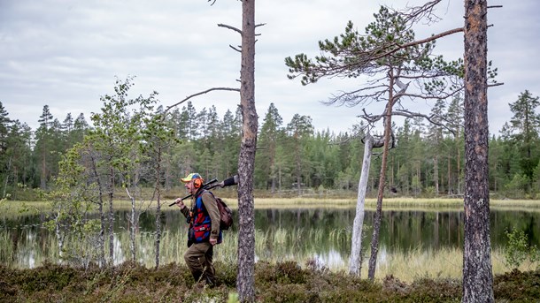  Jaktintressen laddar om inför ny strid om blyförbud 