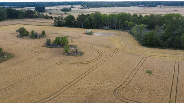 När ledamöterna får välja: Livsmedelsförsörjning, skog och klimat