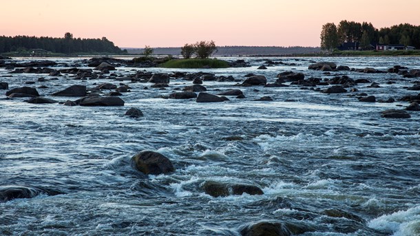 Kukkolaforsen i Torneälv.