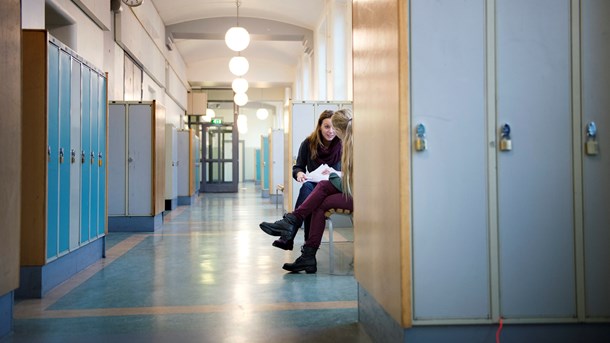 Studiero. Positiva nyheter om niornas slutbetyg.