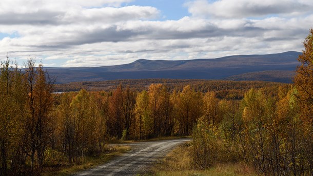 Naturvårdsverkets generaldirektör Björn Risinger ser framför sig att anslagsökningen i budgeten för skydd av värdefull natur delvis kommer att användas till att skydda fjällnära skogar.