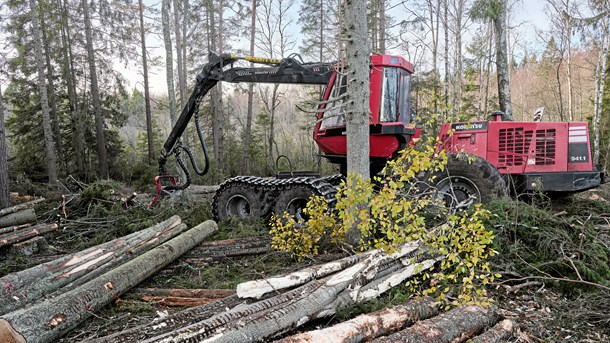 Stärkta Århusregler oroar skogsnäringen