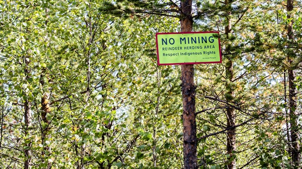 Gruvbolaget Beowulf vill bryta järnmalm i Kallak väster om Jokkmokk, men en gruva skulle få stora konsekvenser för samebyarna i området.