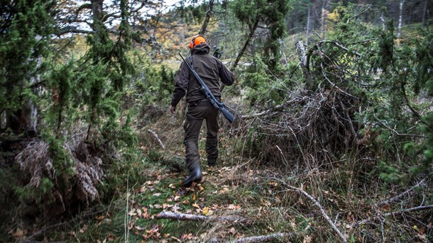 Jakthandläggaren på Naturvårdsverket är inte jävig, enligt JO.