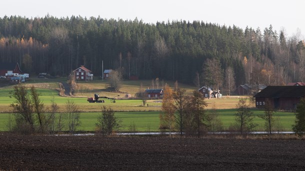 "SKR:s oro för vita fläckar är obefogad"