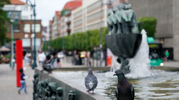 Gustav Adolfs torg i Helsingborg. 