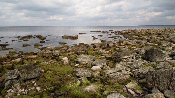 Öland och havet.