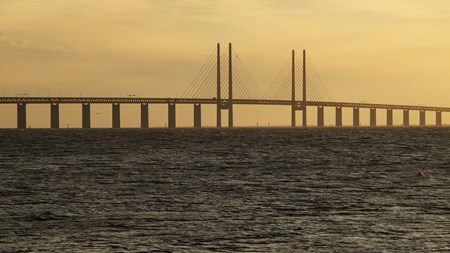 Lagrådet säger nej till förslag om ID-kontroll