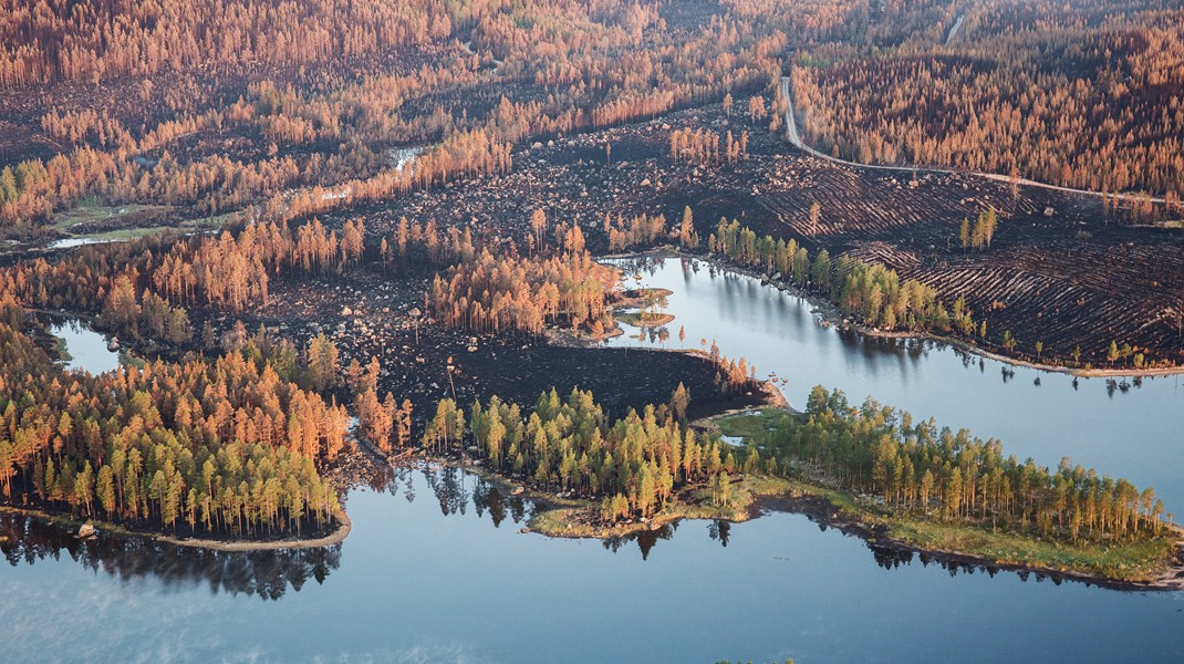 Vad gör Morgan Johansson för världens klimatflyktingar?