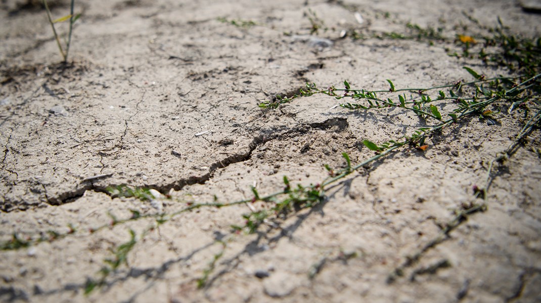 C: Vi måste planera för de oundvikliga klimatförändringarna