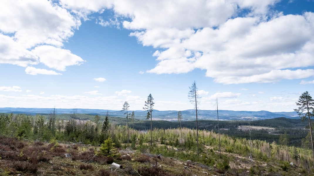 ”Vår forskning visar att det finns en ojämlik spelplan mellan gruvindustrin och samiska rättighetsbärare och att detta är en huvudorsak till konflikter, överklaganden och fördröjningar.”