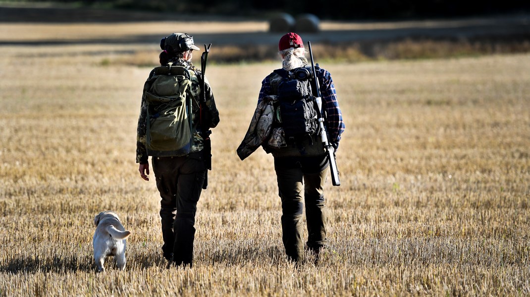 Naturskyddsföreningen och Birdlife: Jakttiderna angår fler än jägarna