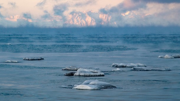 Arktis och Svalbard hör till de områden i världen som redan påverkats mycket av klimatförändringarna 