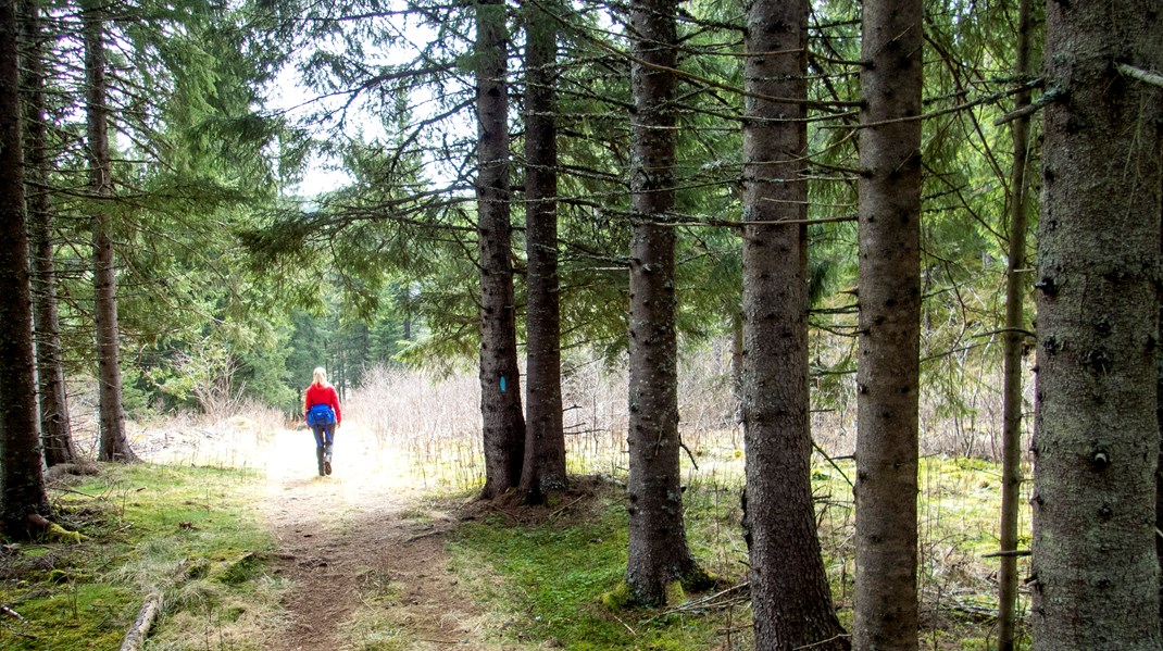 Jönköpings socialpsykiatri satsar på naturvistelse mot psykisk ohälsa