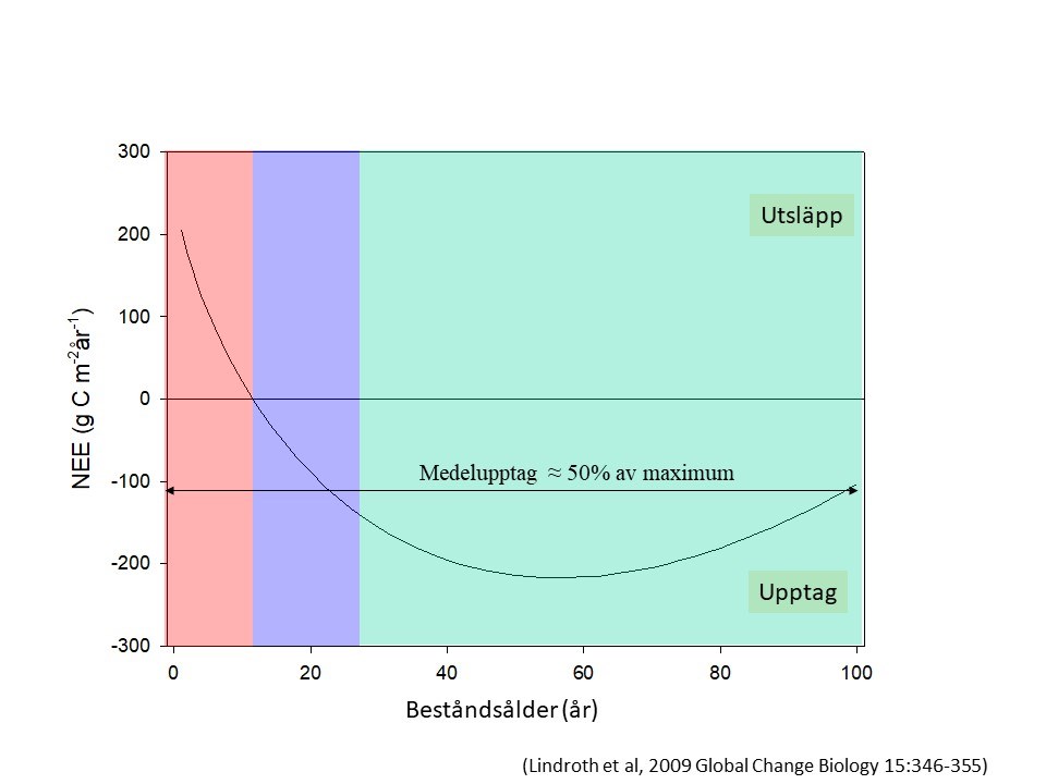 Figuren visar hur nettokolutbytet (y-axel) varierar som funktion av beståndsålder (x-axel) för ett ’typiskt’ svenskt skogsbestånd. Värdet på y-axeln är uttryck i enheten g C perkvadratmeter och år och minus betyder upptag (flödet går från atmosfären ner till skogen) medan positiva värden betyder utsläpp.