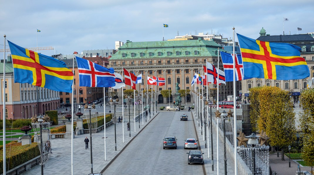 Nordiska rådets medlemsländers flaggor vajar i vinden. 