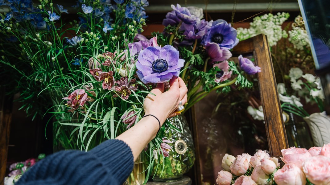 MP: Snittblommor behöver ursprungsmärkning