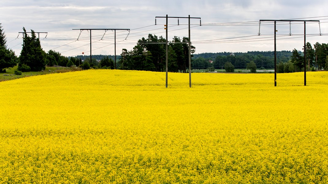 ”Det är orimligt att fortsätta köra över markägare med expropriation och inte ge en spänn till närboende som påverkas av exempelvis elledningar.”