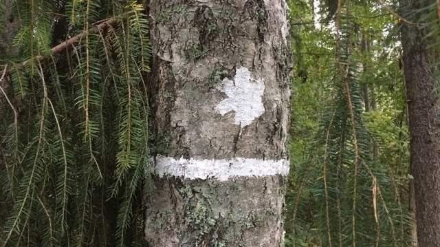 Miljöorganisationer vill få en mer begränsad jakt i naturreservat. Jägarna är av annan uppfattning.