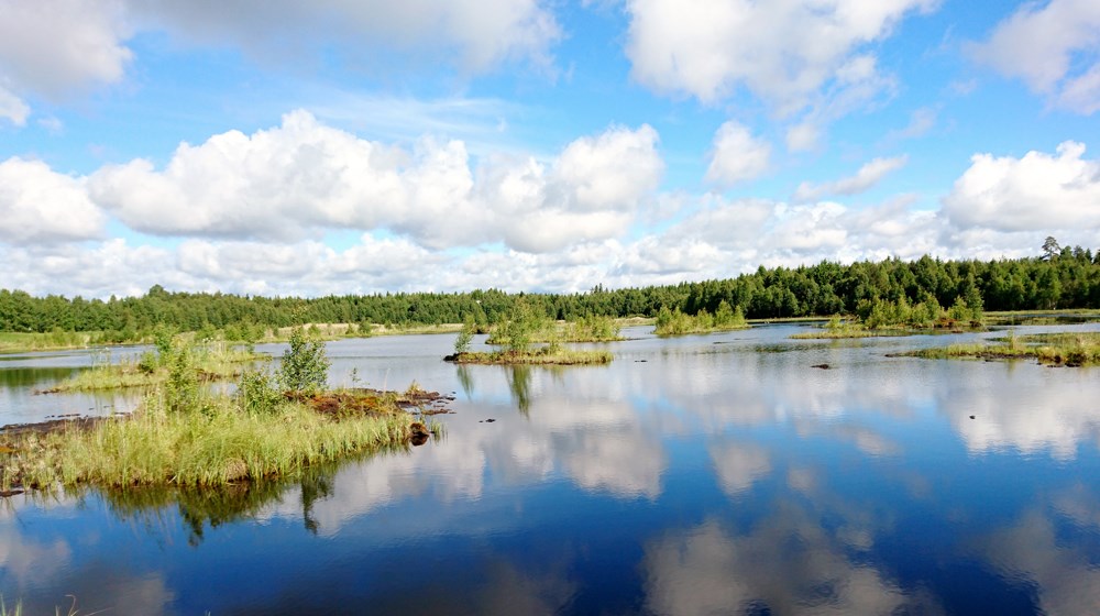 Nygårdsmyren efter avslutad torvtäktverksamhet.