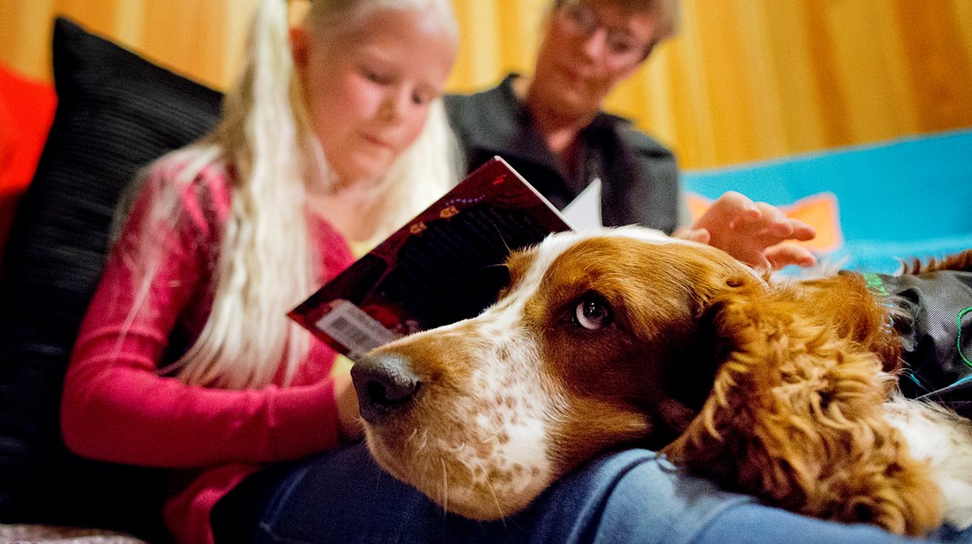 Tjänstehundar kan hjälpa elever med inlärningsförmåga samt sjuka i vården med depression och ångest. 