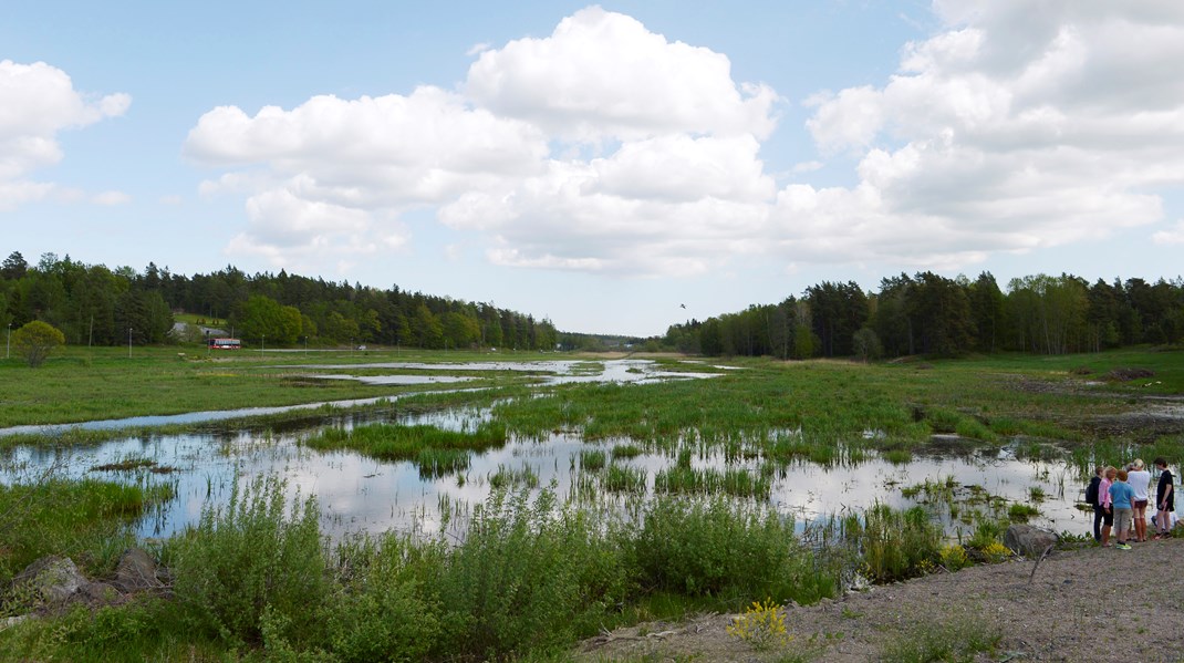 ”Naturskyddsföreningen och Lantbrukarnas riksförbund har identifierat två knäckfrågor, där lösningarna finns inom räckhåll för att komma vidare i våtmarksarbetet.