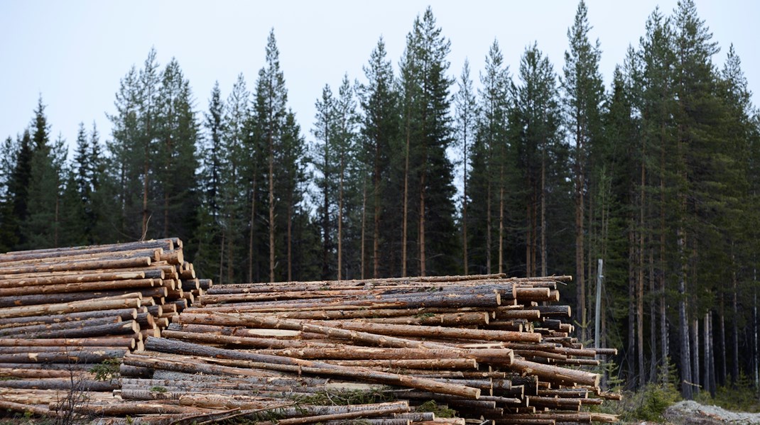 ”I ett naturnära skogsbruk anpassas brukandet till de naturliga förutsättningarna i skogen och klimatanpassas”.